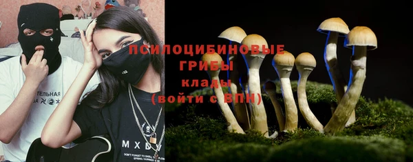шишки Нязепетровск