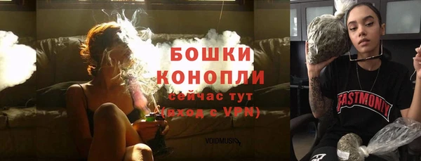 шишки Нязепетровск