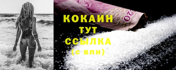 шишки Нязепетровск